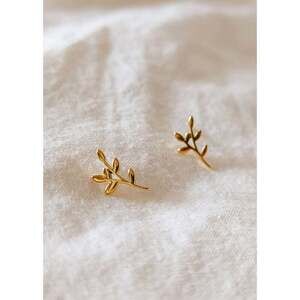 Olive branch - gold plated earrings